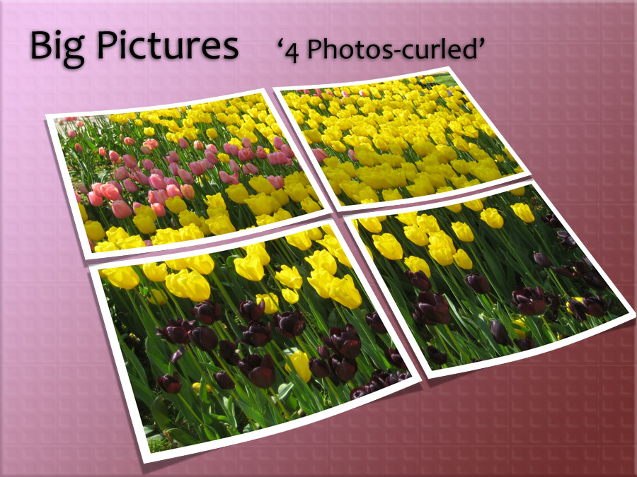 b_4Photos_Curled.jpg