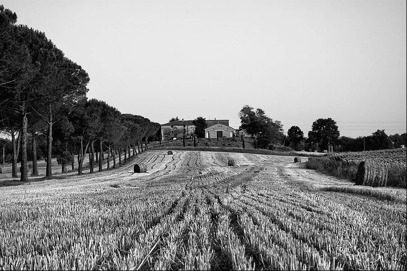 b&w.jpg