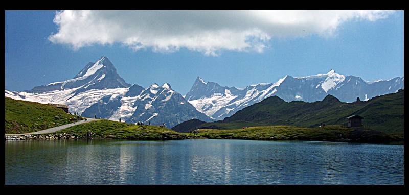 bachapsee.jpg