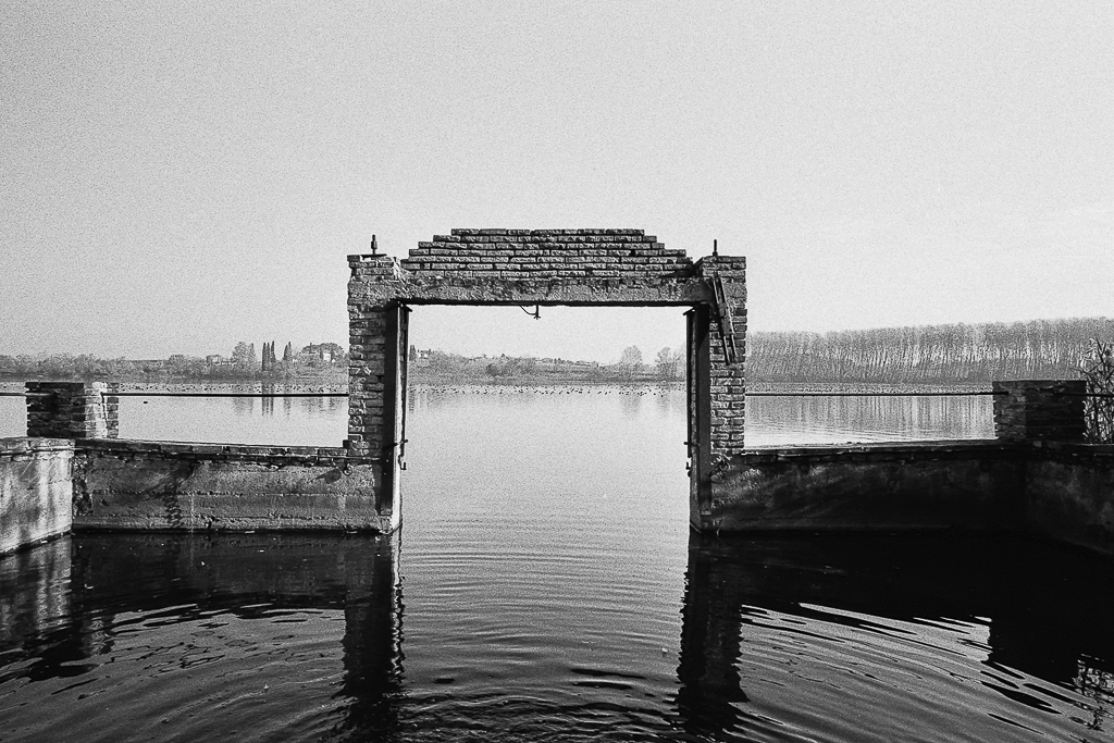 bacino.jpg