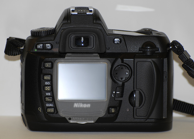 back_166.jpg