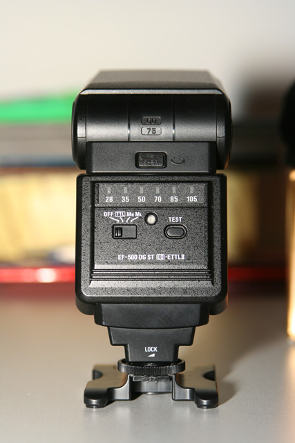 back_3954.jpg