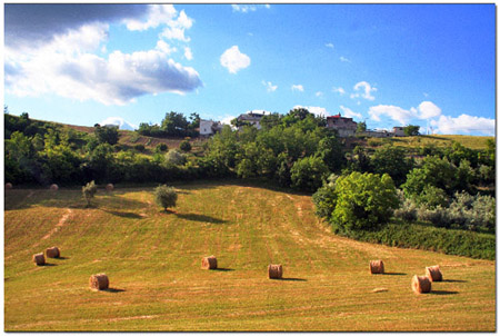 balle-grano-tramonto.jpg