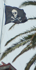 bandiera--webpirata-modif.jpg