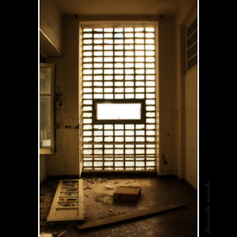 Banti_morello_0005.jpg