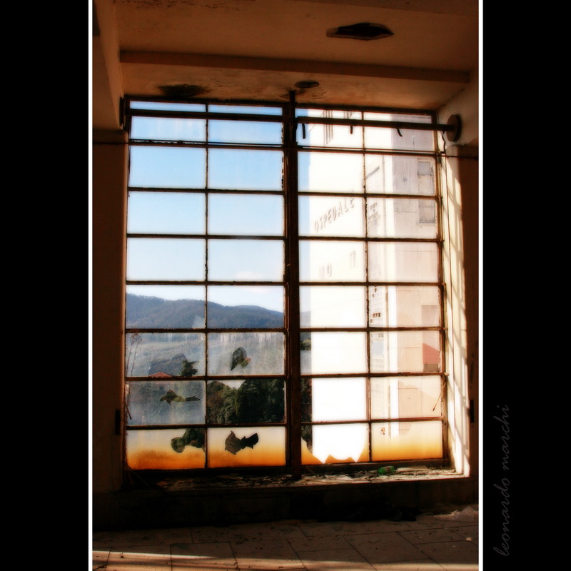 Banti_morello_0008.jpg