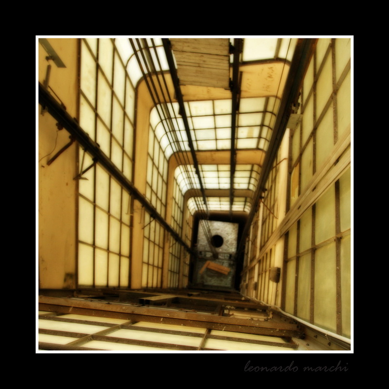 Banti_morello_0014.jpg