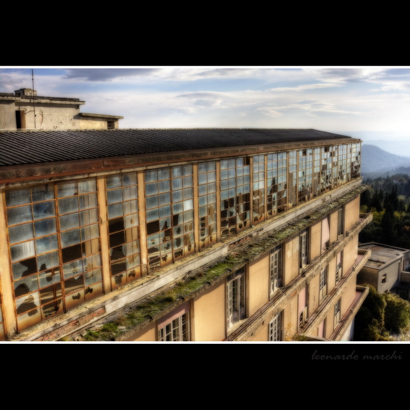 Banti_morello_0015.jpg