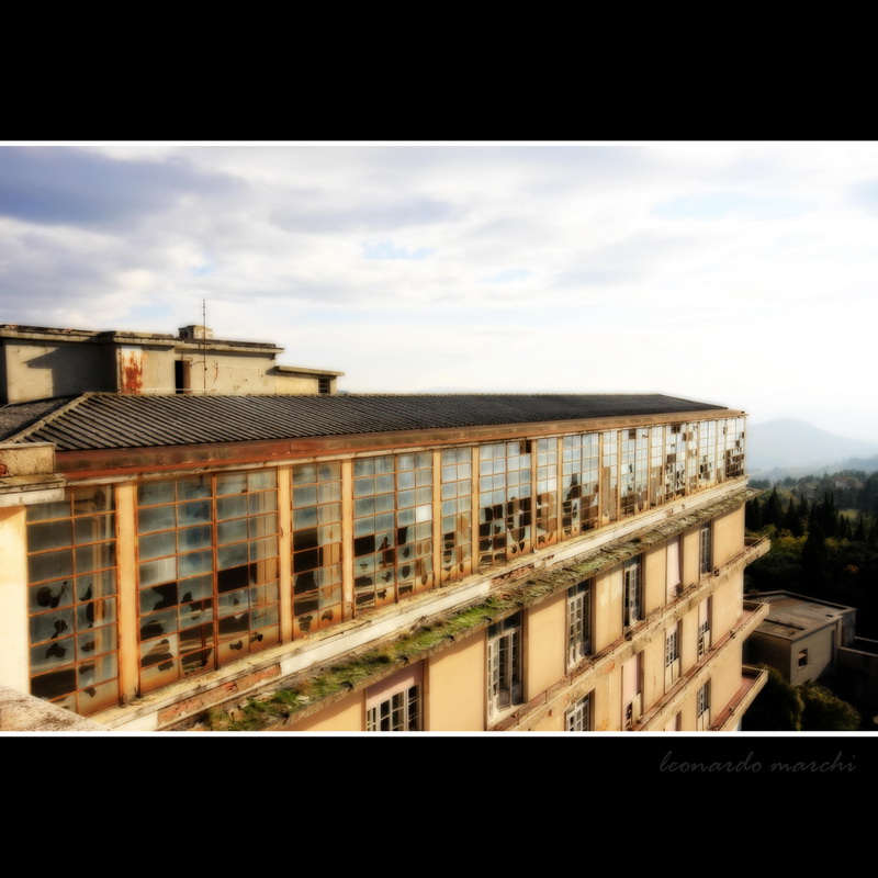 Banti_morello_0016.jpg