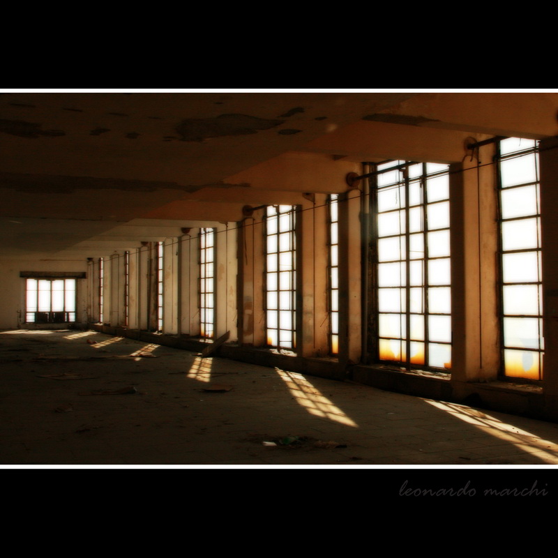Banti_morello_0017.jpg