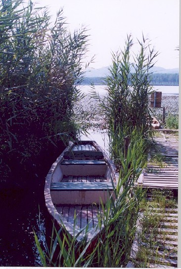 barca al lago.jpg