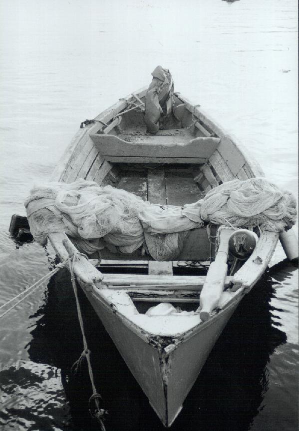 barchetta.jpg
