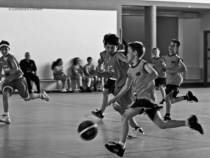 basket_03.jpg