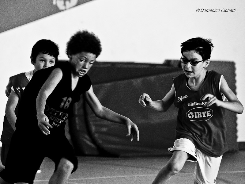 basket_04.jpg