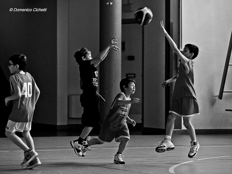basket_06.jpg