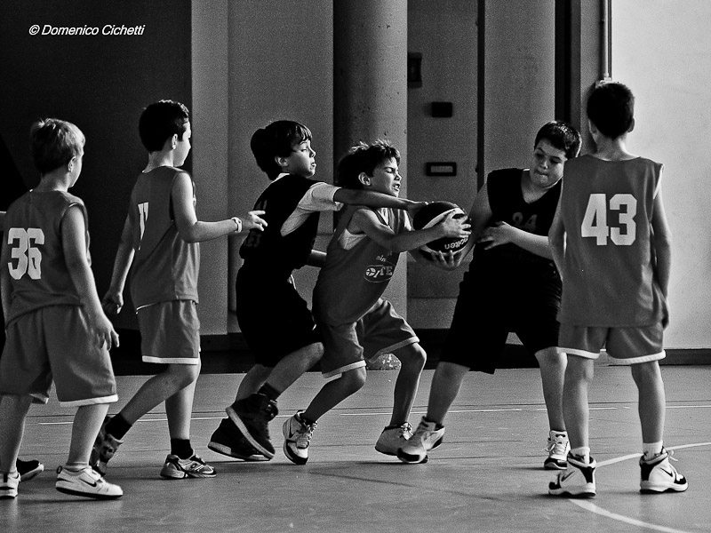 basket_07.jpg
