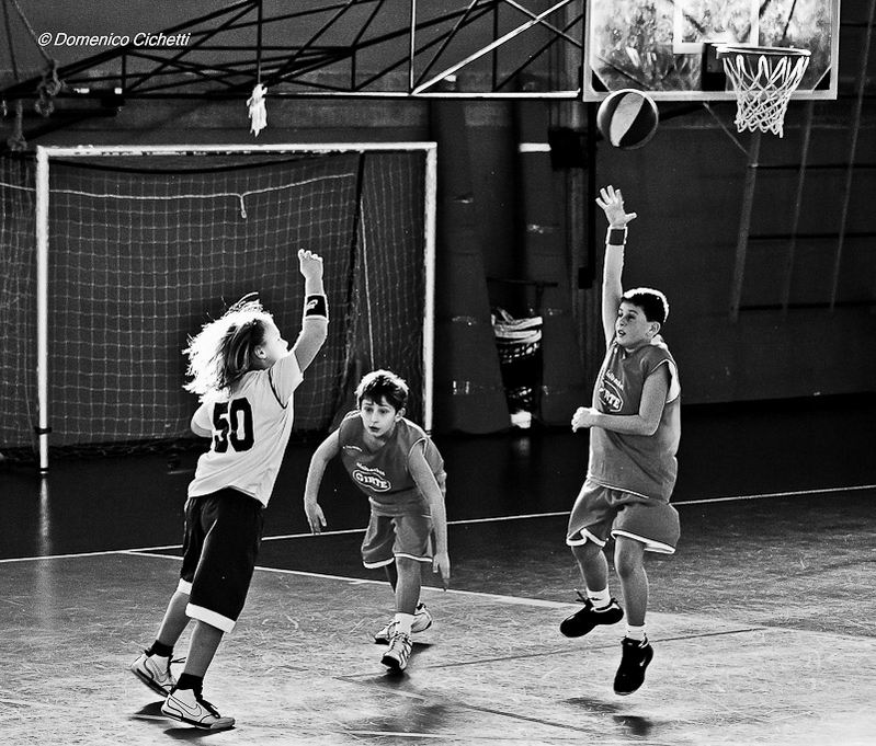 basket_11.jpg