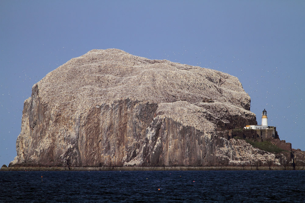 Bass-Rock.jpg