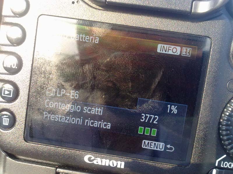 batt.jpg