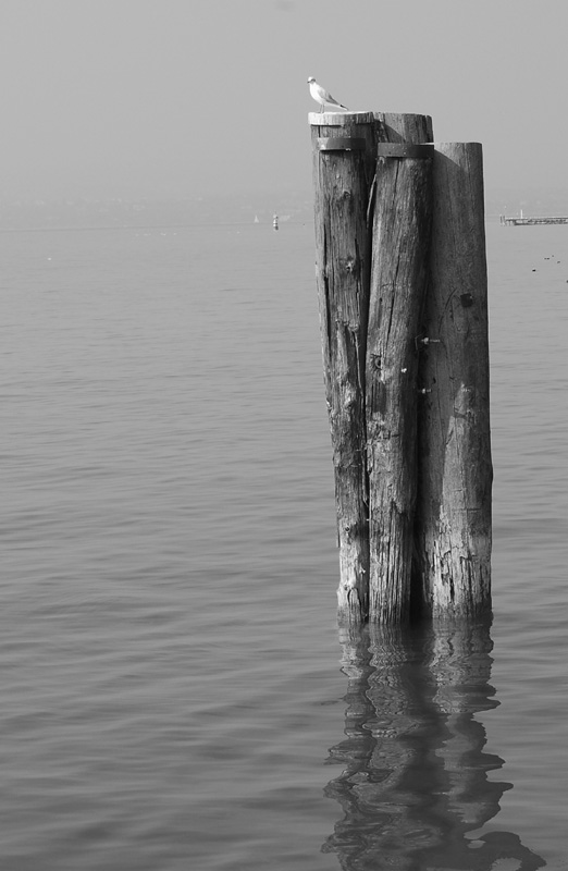 beata solitudine bw.jpg