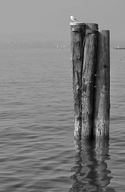 beata_solitudine_bw_376ok1.jpg
