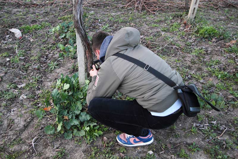 benedettoshot.jpg