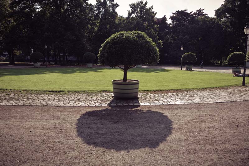 Berlin_06_IMG_6988.jpg