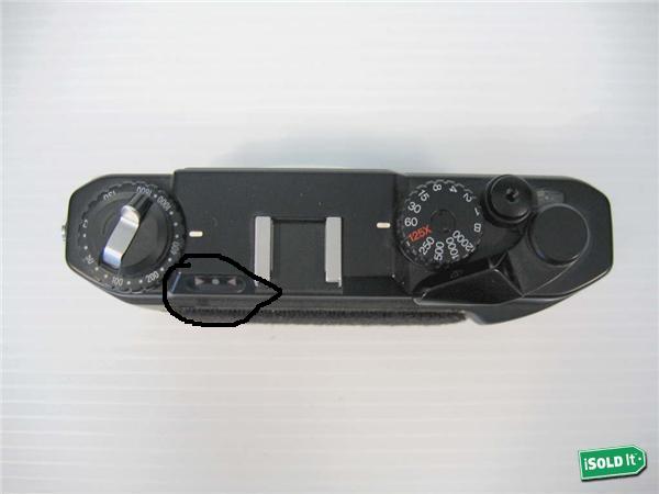 bessaL1.JPG