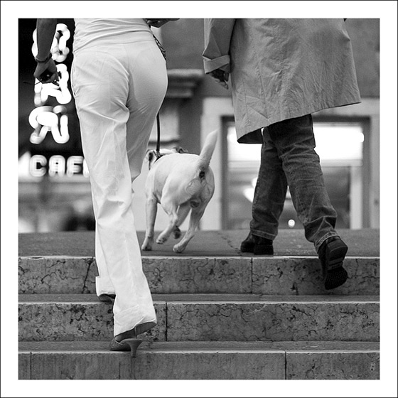 bianco-nero01.jpg