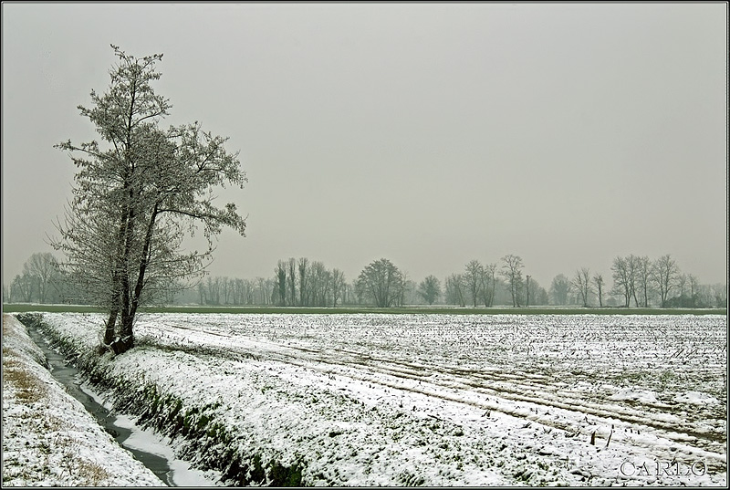 Bianco.jpg