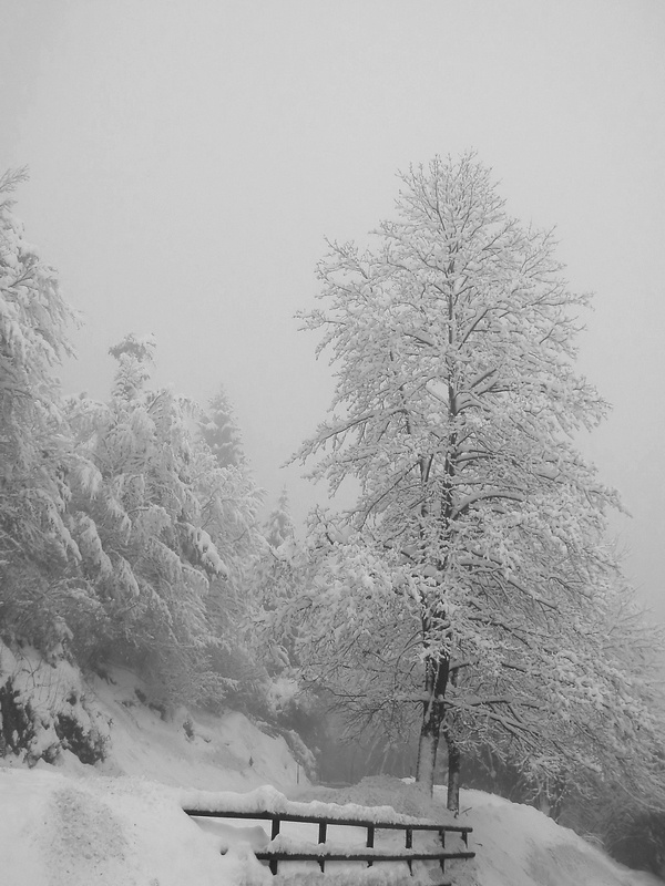 Bianco e nero.jpg