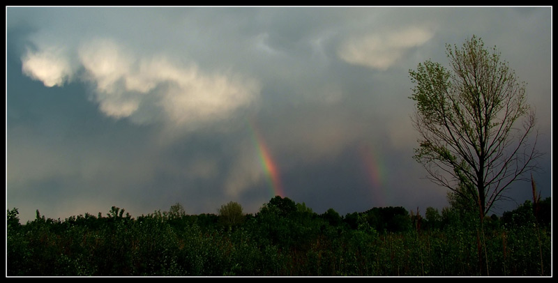 biarcobaleno.jpg