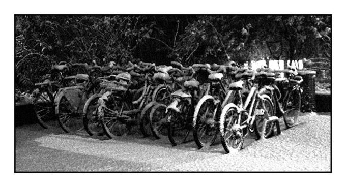 bici-w.jpg