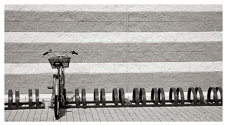 bici2.jpg
