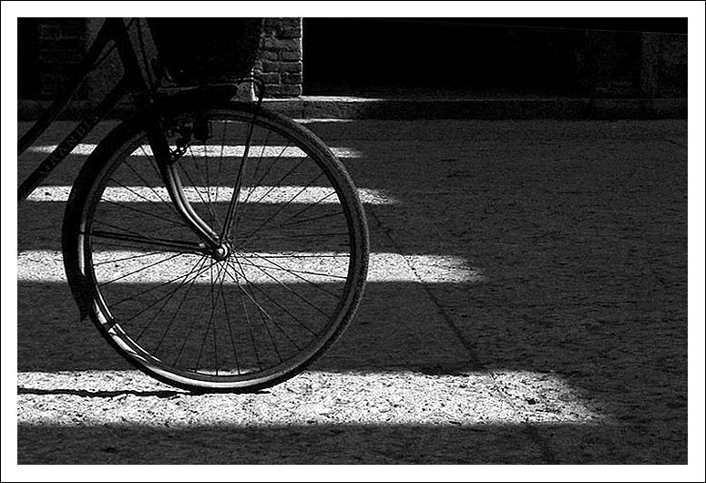 bici[2].jpg