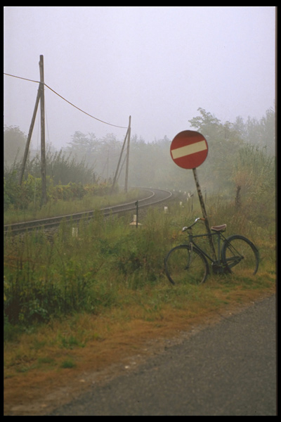 bici.jpg