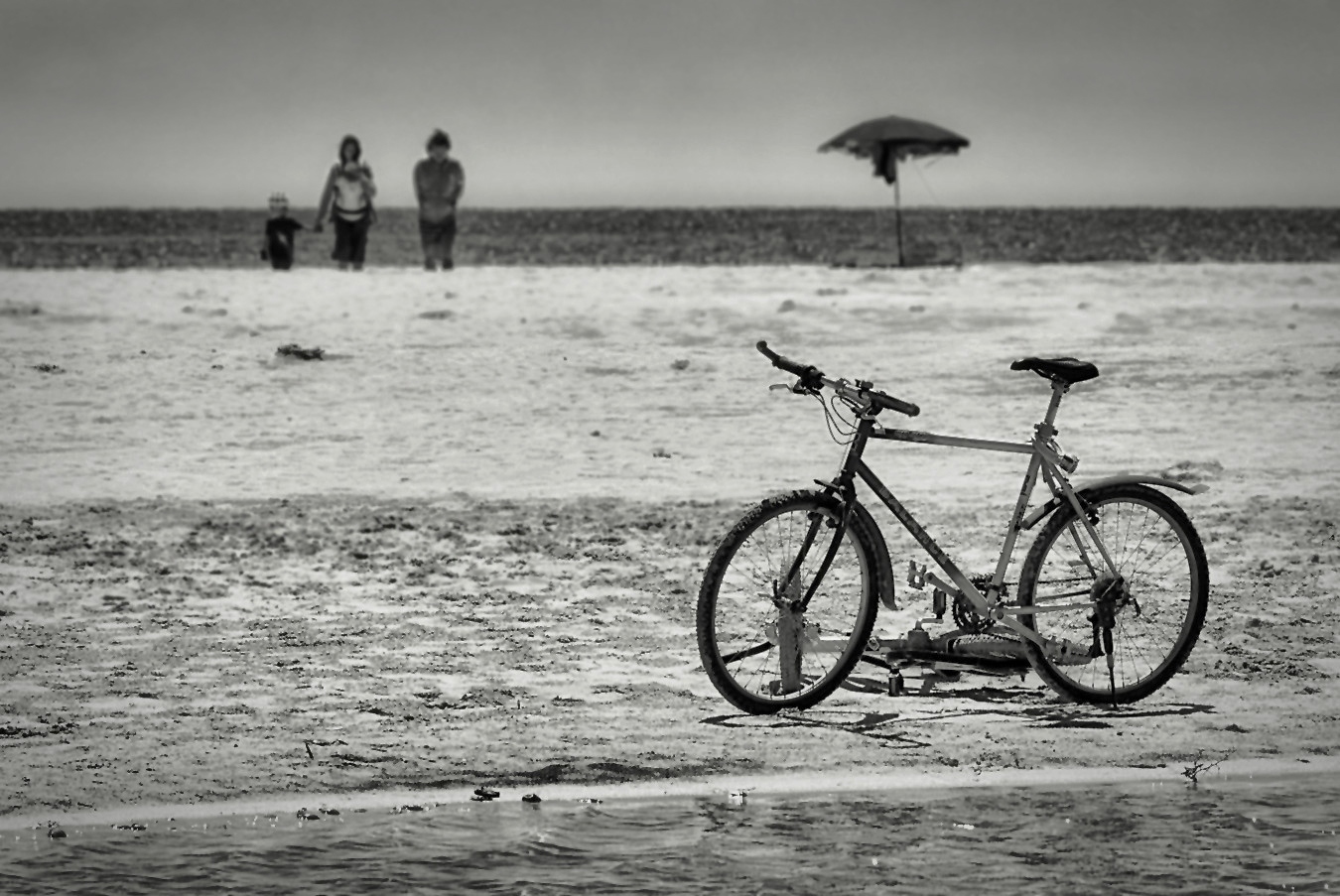 bici and sea 2.jpg