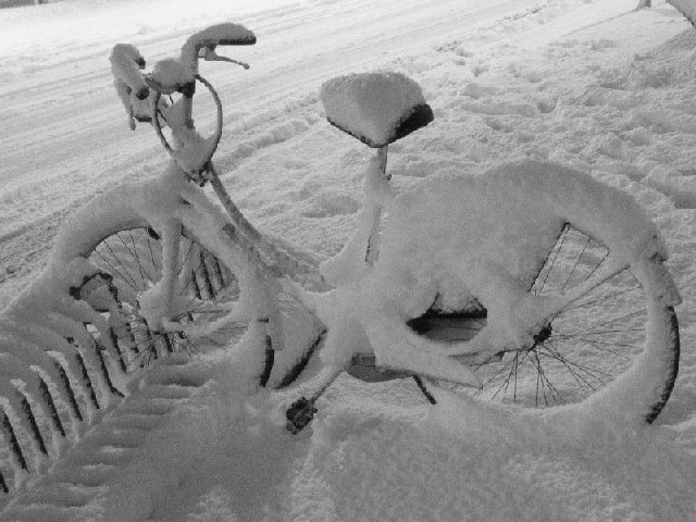 Bici innevata.jpg