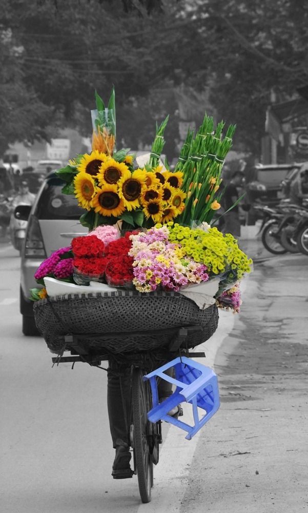 bici_s2.jpg