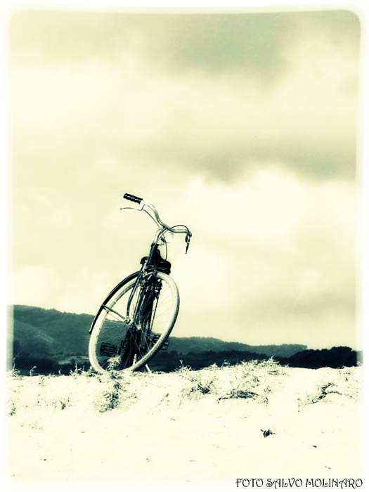 bici salvo.jpg