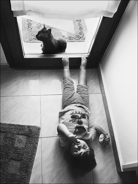 bimbo-gatto.jpg