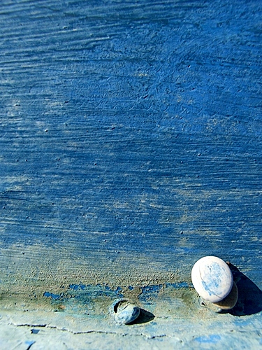 blu10.jpg