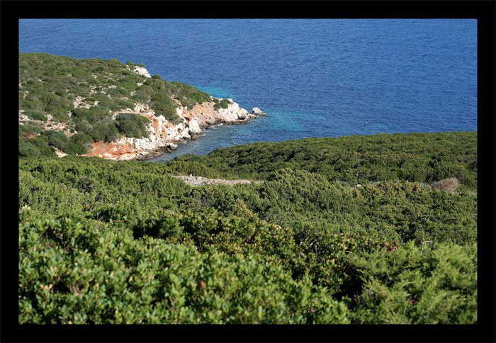 bn2214-copia.jpg