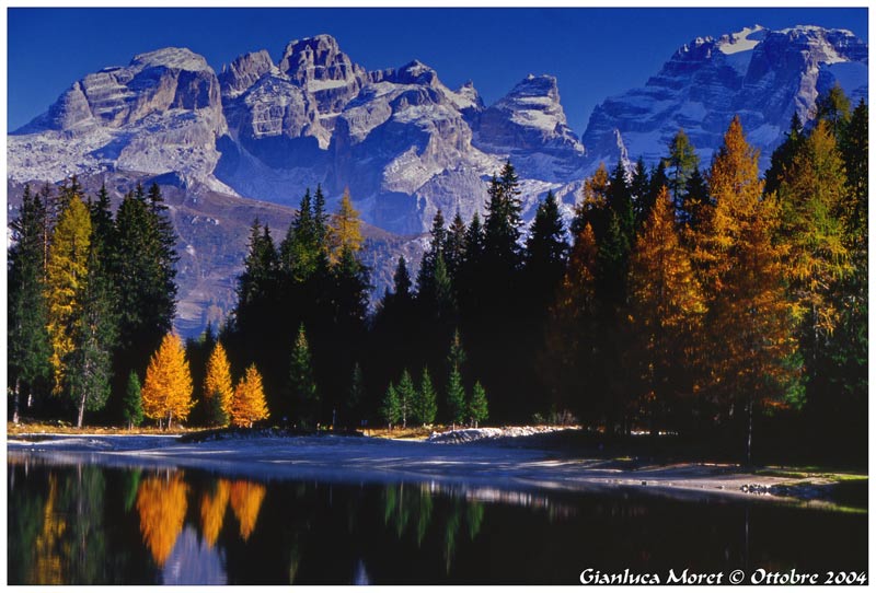 BNA-Brenta-orr.jpg