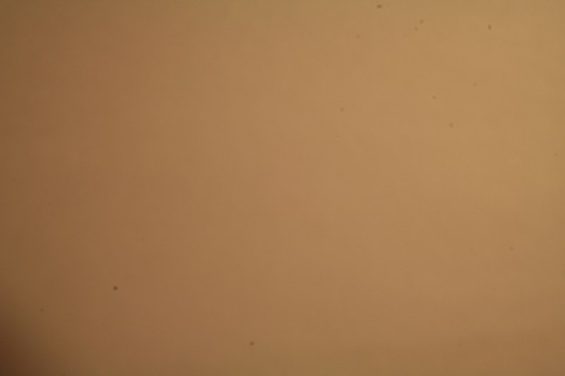 bo1.jpg