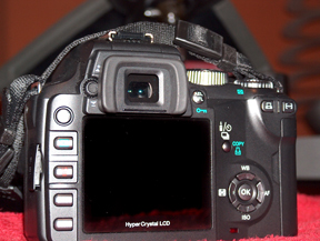 body-e-500.jpg