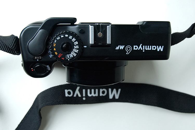 body(top)85kb.jpg