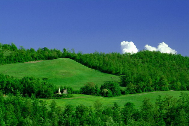 bologna collina.jpg