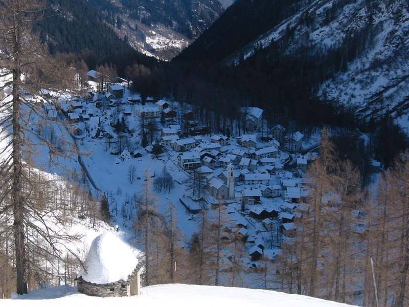 boscogurin.jpg