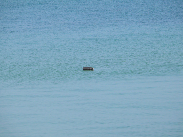 bottiglia-in-acqua.jpg
